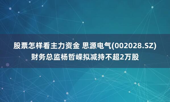 股票怎样看主力资金 思源电气(002028.SZ)财务总监杨哲嵘拟减持不超2万股