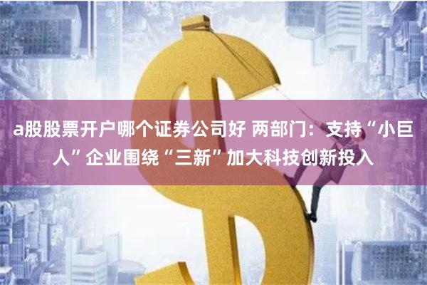 a股股票开户哪个证券公司好 两部门：支持“小巨人”企业围绕“三新”加大科技创新投入