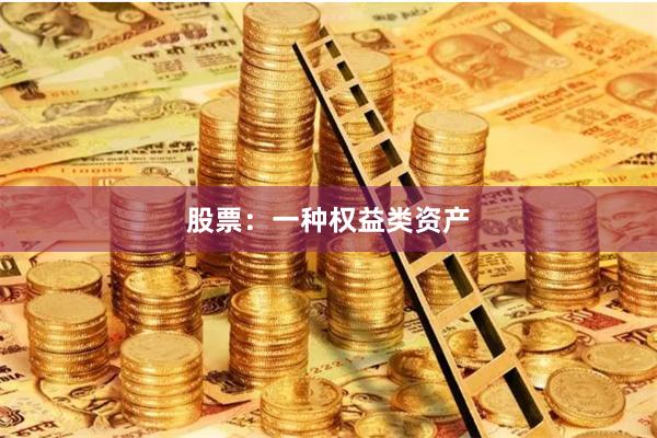 股票：一种权益类资产